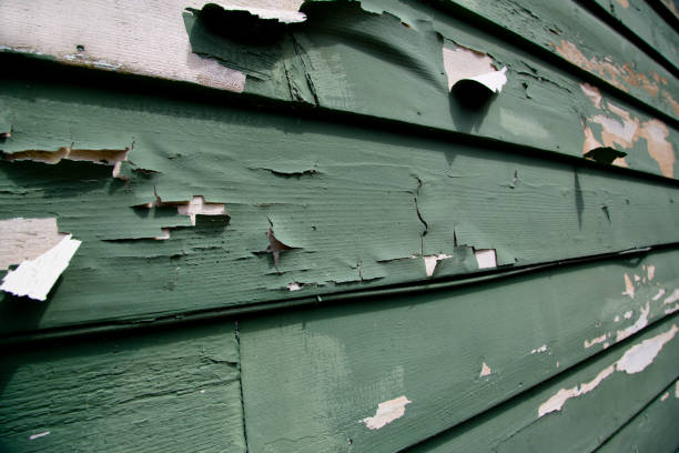 Best Hoarding Cleanup  in Sharon, MS